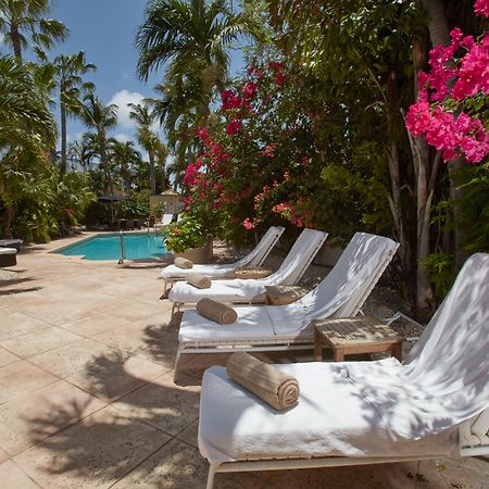 Paradera Park Aruba Oranjestad Bagian luar foto