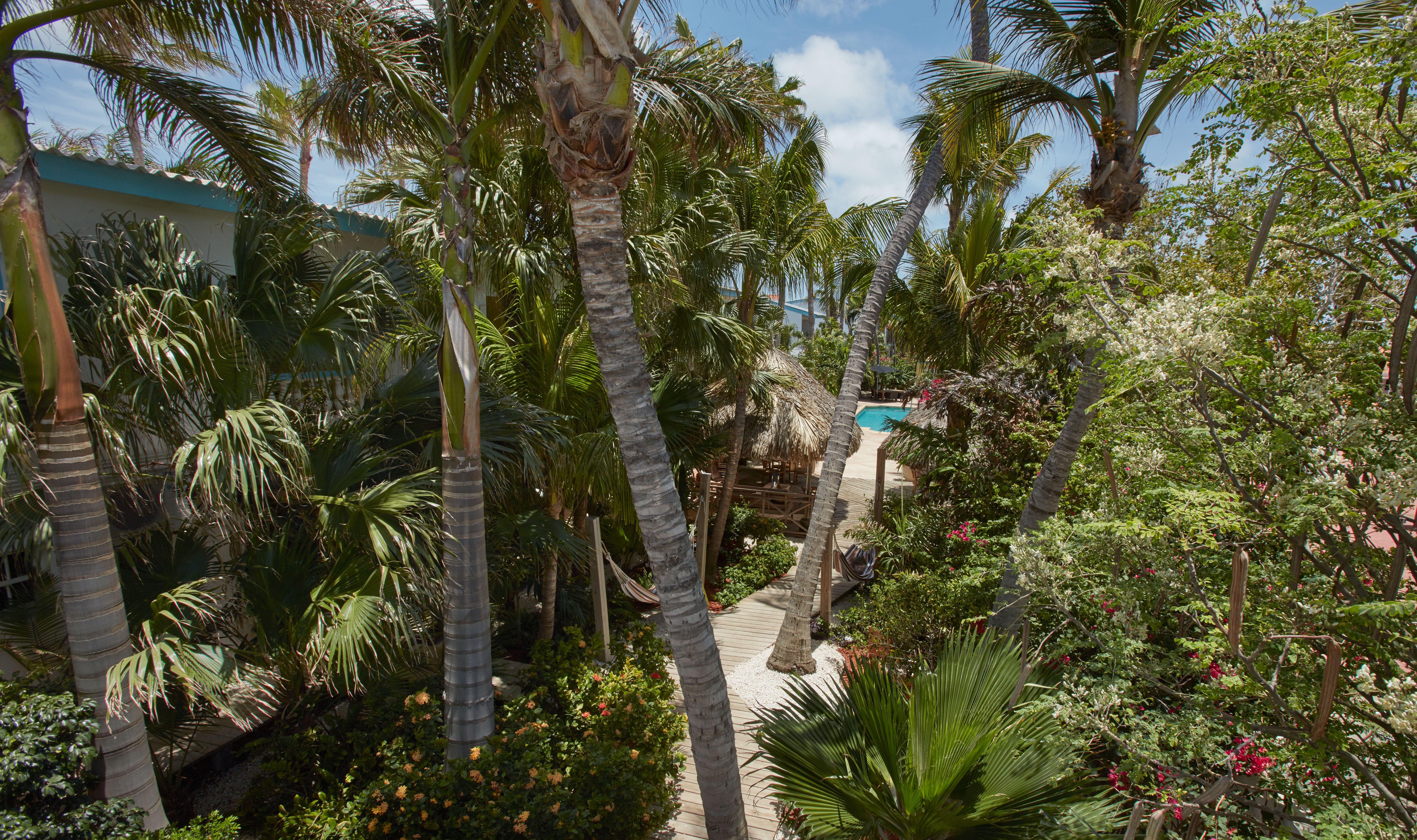 Paradera Park Aruba Oranjestad Bagian luar foto